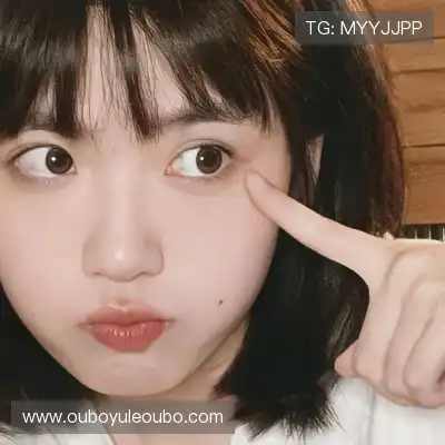 赵鸽